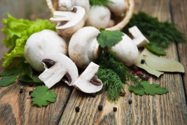 champignon mantarları