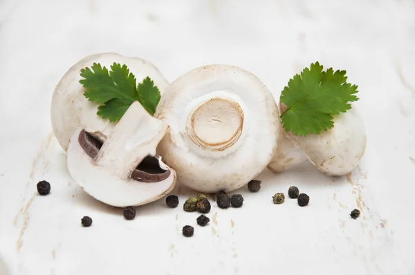 champignon mantarları