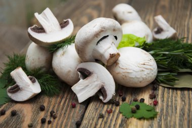 champignon mantarları