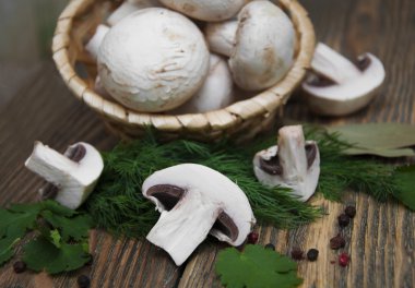 champignon mantarları