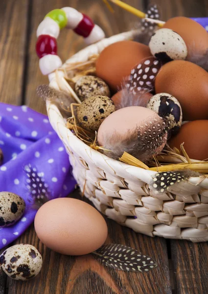 Eggs — Stock Photo, Image