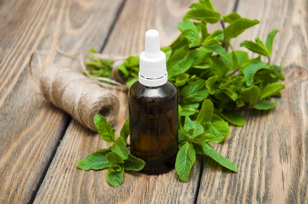 Essential mint oil — Stock Photo, Image