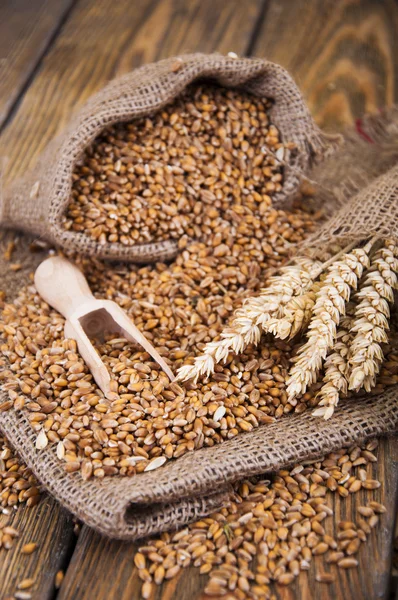 Wheat — Stock Photo, Image