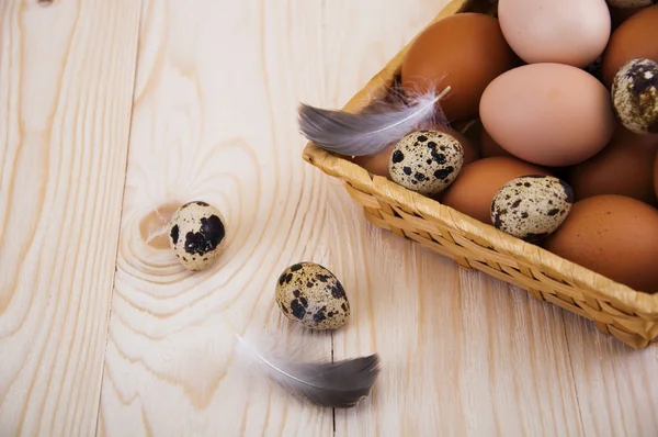 Eggs — Stock Photo, Image