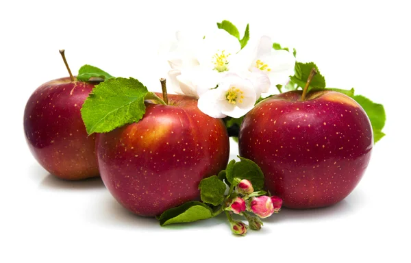 Apples — Stock Photo, Image