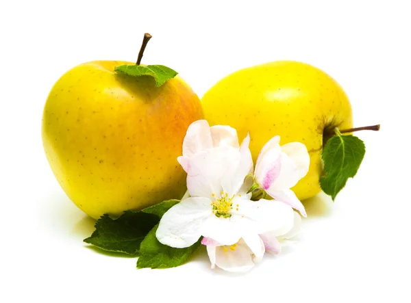 Apples — Stock Photo, Image