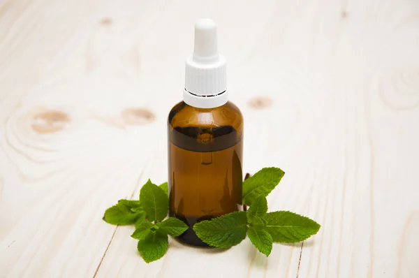 Essential mint oil — Stock Photo, Image