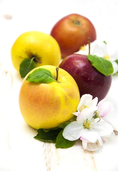 Apples — Stock Photo, Image