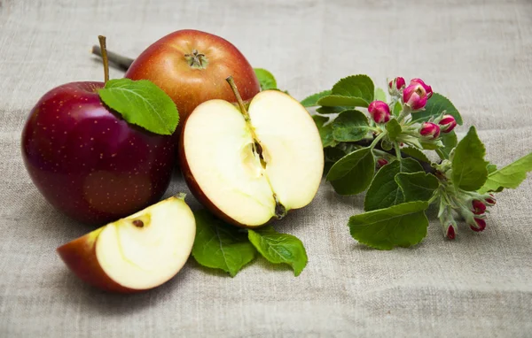 Manzanas — Foto de Stock