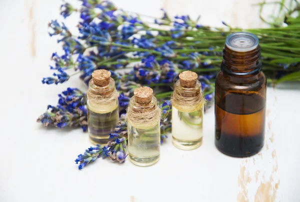 Lavanda — Foto Stock