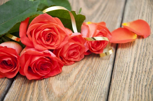 Uma linda rosas — Fotografia de Stock