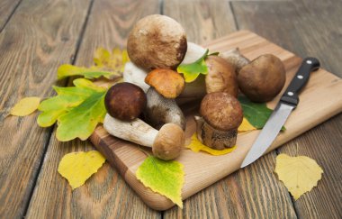 Bir çörek mantarı