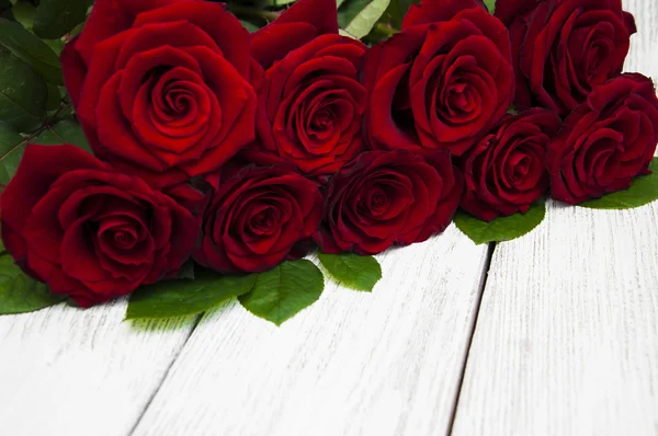 Hermosas rosas rojas — Foto de Stock