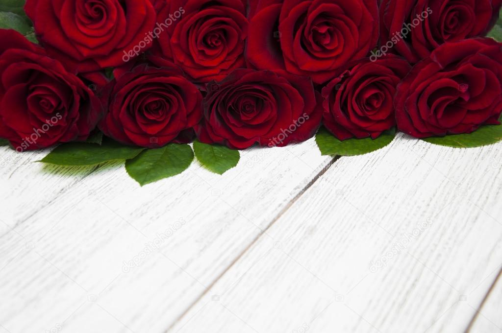 Beautiful red Roses