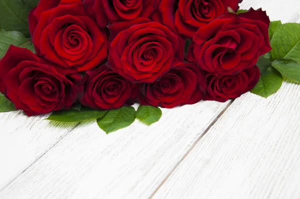Красивая Роза — стоковое фото
