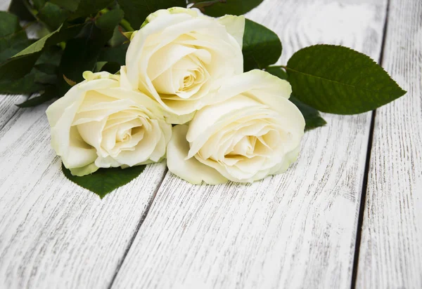 Hermosas rosas blancas — Foto de Stock