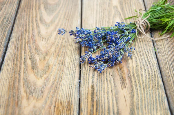 Flores de lavanda — Fotografia de Stock