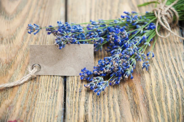 Flores de lavanda — Fotografia de Stock