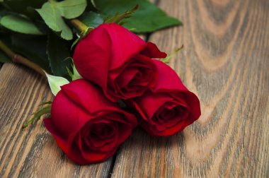 güzel kırmızı gül