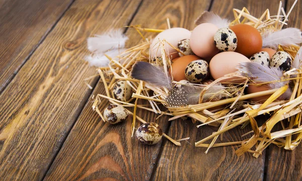 Gespikkelde kwarteleitjes — Stockfoto