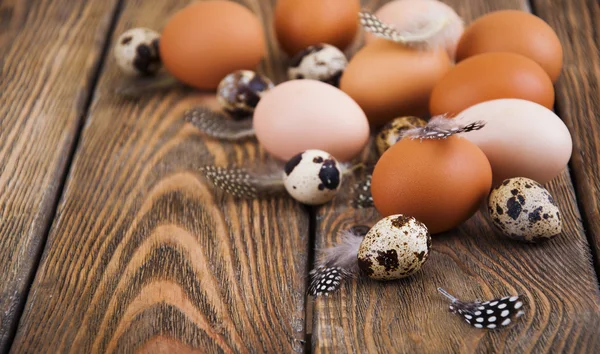 Different types Eggs — Stock Photo, Image