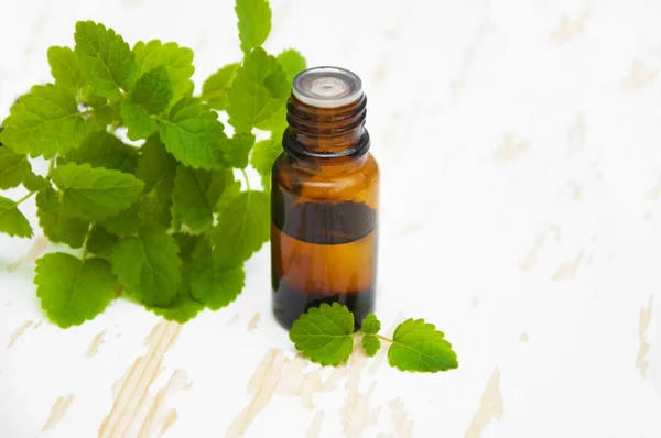 Peppermint essential oil — Stock Photo, Image