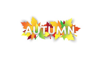 Sonbahar yaprakları yığın vektör illüstrasyon arka planı