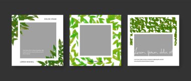 Sosyal medya şablonları için beyaz arka planda yeşil yapraklar, instagram ve facebook için kare düzenler, modern dijital pazarlama gönderileri