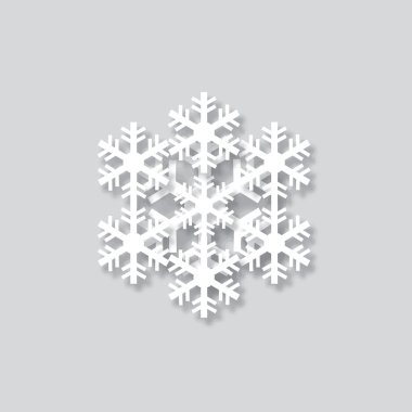 Detaylı Noel kar tanesi