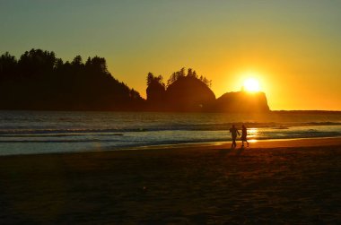 Washington sahilindeki nefes kesici LaPush Sahili 'nde gün batımı. Olimpiyat Ulusal Parkı 'na komşu..