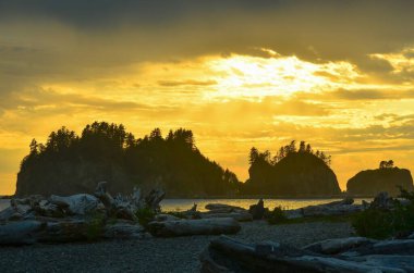 Washington sahilindeki nefes kesici LaPush Sahili 'nde gün batımı. Olimpiyat Ulusal Parkı 'na komşu..