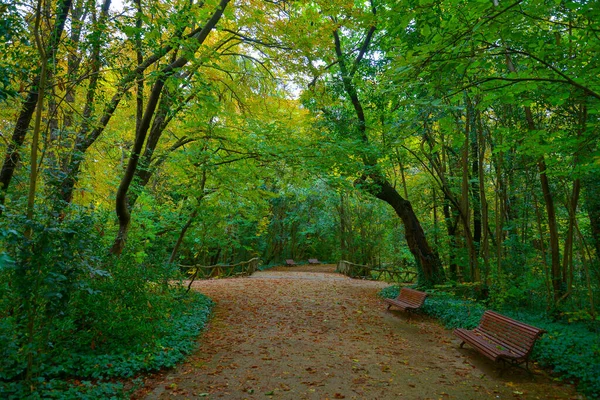 Beautiful public park photography, Beautiful autumn nature photography