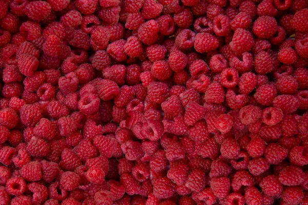 Kırmızı böğürtlen fotoğrafçılığı, Top view, Fruits arka planı, Fruits desen arka planı