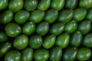 Taze Avokado 'nun güzel fotoğrafları, Top view, yüksek kaliteli fotoğraf, natürmort fotoğraf, meyve arkaplan