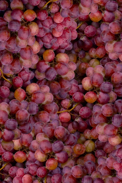 Vers Rood Druivenfruit Fotografie Vruchten Achtergrond Fotografie Bovenaanzicht — Stockfoto