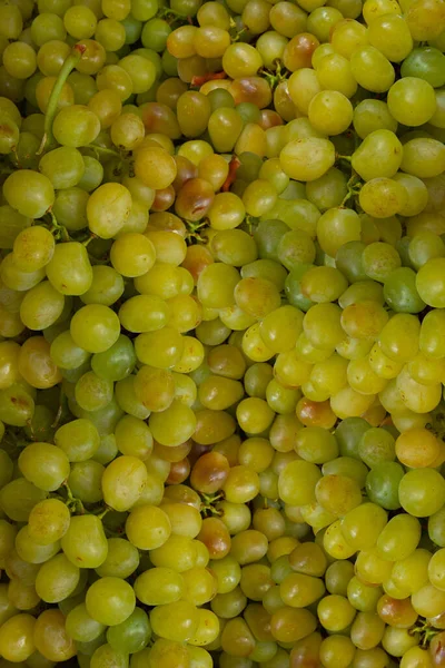 Frisch Grüne Trauben Fotografie Obst Hintergrund Hochwertiges Foto Draufsicht — Stockfoto