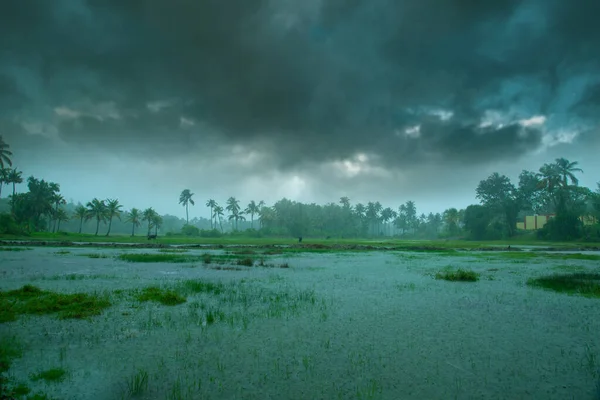 구름낀 의비오는 케랄라 아름다운 강수량 — 스톡 사진