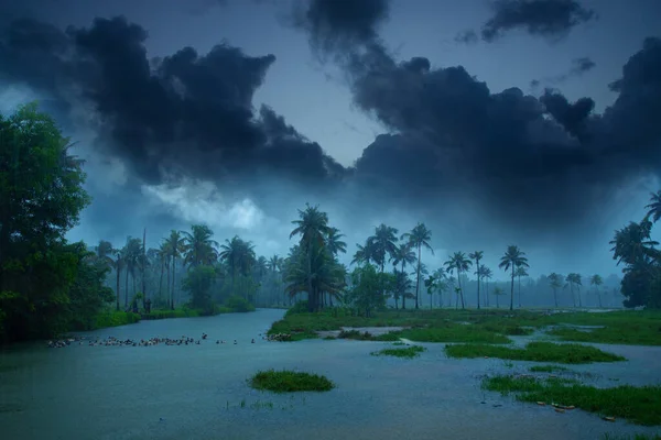 Cloudy sky over beautiful flood plain landscape, River landscape, Beautiful summer landscape with cloudy sky, Flood plain of beautiful river, Nature Beautiful Scenery Kerala India