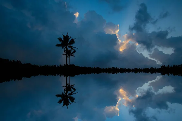 Drzewa Kokosowe Refleksja Wodzie Pod Błękitnym Niebem Chmurne Niebo Zachód — Zdjęcie stockowe