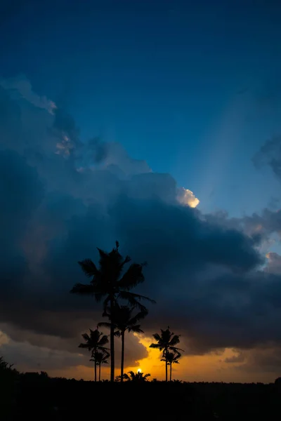 Landschap Tijdens Zonsondergang Zonsondergang Fotografie Prachtig Landschap Van Kokospalmen — Stockfoto