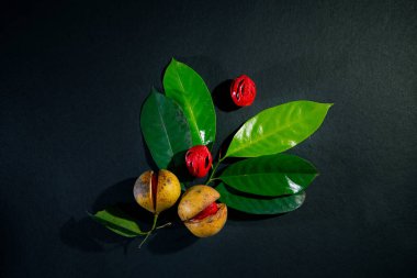 Nutmeg meyveleri ve tohumları koyu arka planda yeşil yapraklı, Nutmeg meyveleri ve tohumları Karanlık zemin üzerinde, Olgun Nutmeg meyvesi ve tohumları Bölüm Görünümü, Nutmeg meyveleri fotoğrafçılığı üst görünüm, Aydınlık ve gölge fotoğrafçılığı