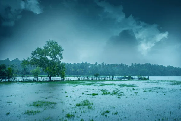 Beautiful landscape image with heavy rain, Monsoon rain in Kerala India, Beautiful image of rain, Cloudy sky over beautiful flood plain landscape.