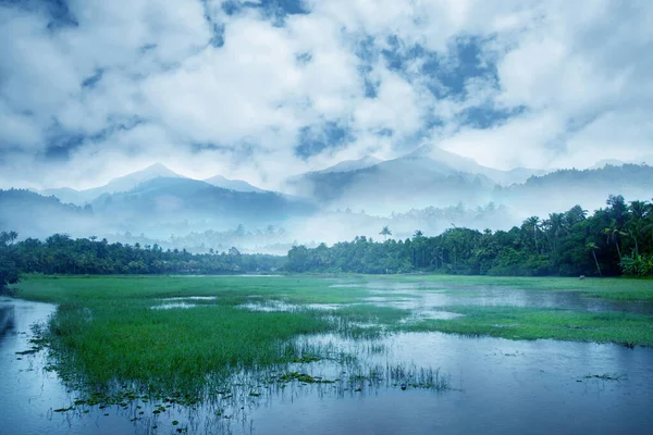 Piękna Przyroda Krajobraz Fotografia Białym Zachmurzonym Niebem Wiele Drzew Kokosowych — Zdjęcie stockowe