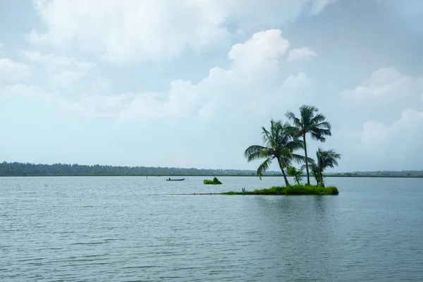 Кокосовые Пальмы Стоящие Маленьком Острове Захолустье Керала Индия — стоковое фото
