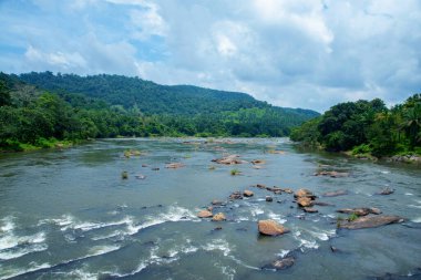 Gündüz vakti sık yağmur ormanlarından geçen bir nehir fotoğraf, NAture fotoğrafı, güzel nehir manzarası fotoğrafı, Athird şelaleleri, Kerala, Hindistan
