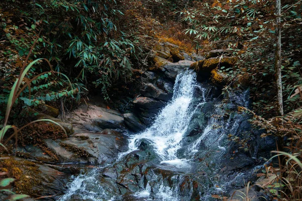 Tropikal Yağmur Ormanları Dağları 'ndaki Küçük Şelale, Kerala