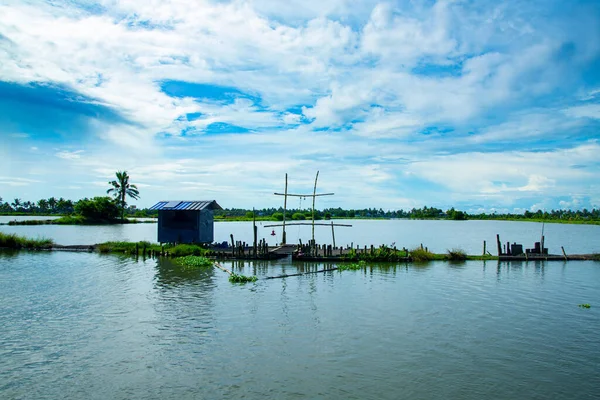 아래서 뒷배경 Kerala Backwater Kadamakkudy Kerala — 스톡 사진