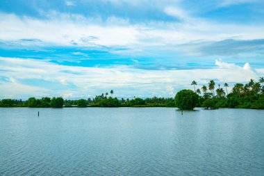 Bulutlu bir gökyüzü ve nehir arasında mangrov ağaçları ve hindistan cevizi palmiyesi şeridi, Kadamakkudy Kerala gündüz vakti doğa fotoğrafçılığı
