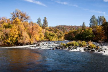 Shasta County California 'daki Pit 1 Power House yakınlarındaki Pit River' da sonbahar.