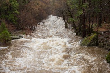 Şişmiş Deer Deresi, Kaliforniya 'nın Tehama ve Plumas ilçe sınırı yakınlarındaki şiddetli kış yağmurları sonrasında orman kanyonundan taşar..